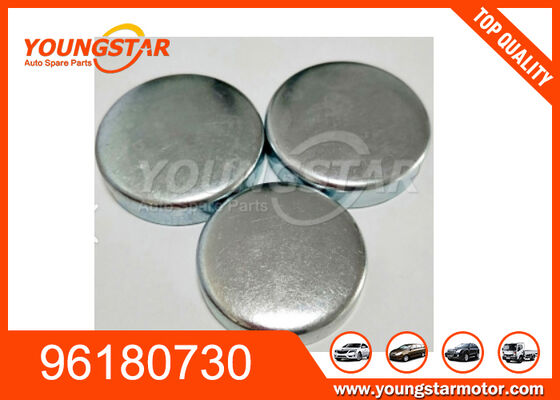 96180730 พล็อกเครื่องยนต์ พล็อกหลุมแกนสําหรับ GM ด้วยการรับประกัน 60000KMS