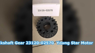 สายพานเฟืองเพลาข้อเหวี่ยง Hyundai Getz 23120-02570 YOUNG STAR MOTOR